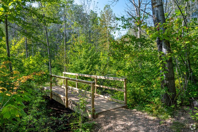 The trails near Merrit Creek are some of the best in Piedmont Heights.