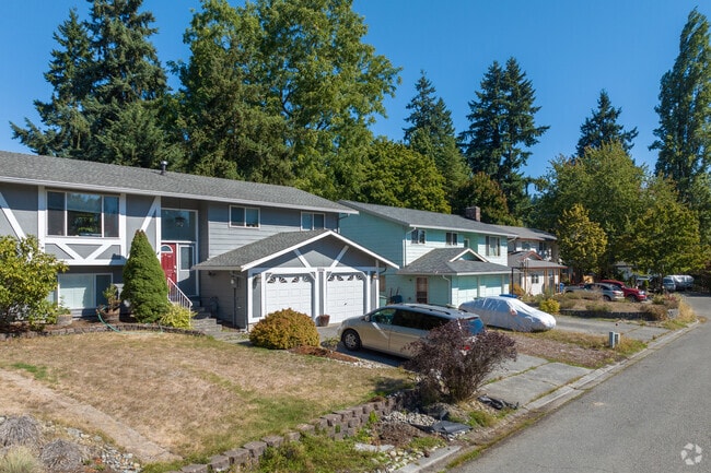 Homes in Turtle Rock sit on wooded streets lined with towering evergreens.