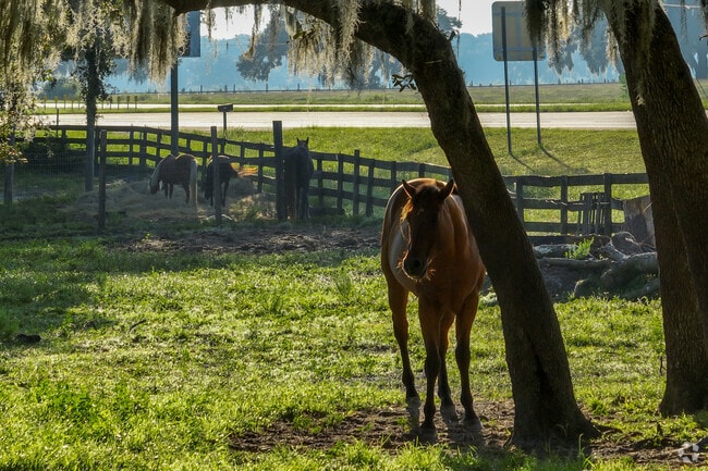 Rutland is a very equestrian-friendly community.