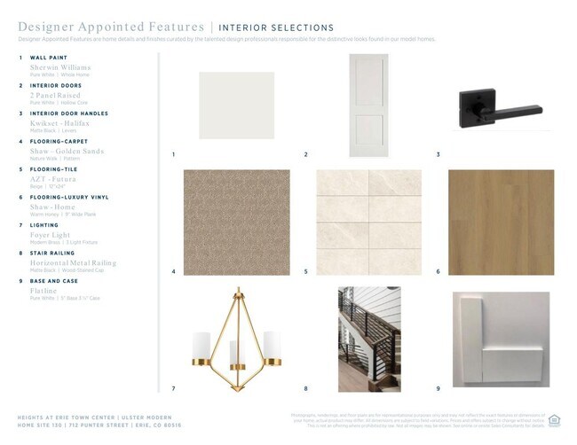 712 Punter St, Erie, CO 80516 - photo 5