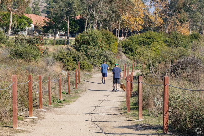 Peters Canyon Trail features high-altitude mountain views.