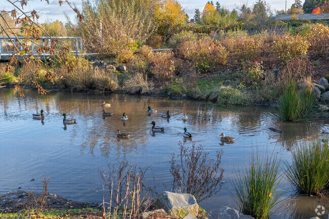 A ton of wildlife can be seen at the Boardman Wetlands Nature Park on SE Addie St in Oatfield.