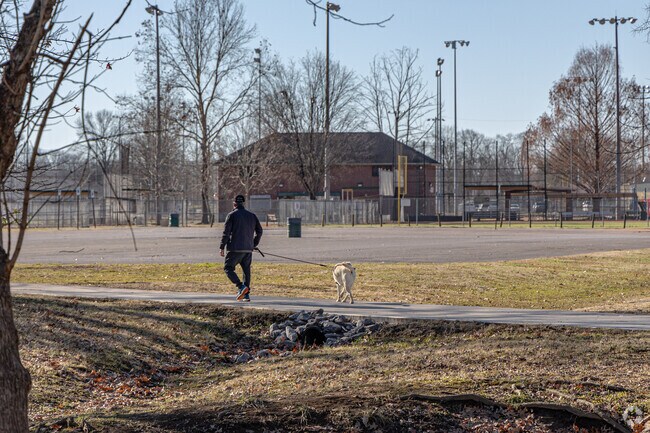 Drakes Creek is a great place to enjoy a walk with your dog.
