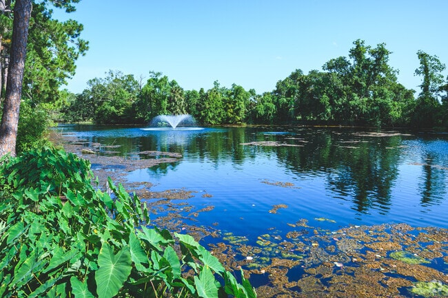 The Freret neighborhood in New Orleans features many parks and outdoor venues.