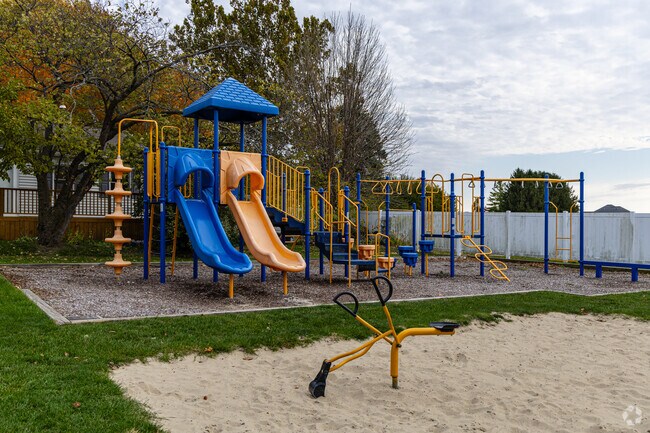 Take the kids to the playground at McAdams Park.