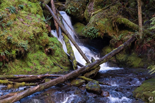 Oakridge is surrounded by Willamette National Forest with nearby waterfalls.