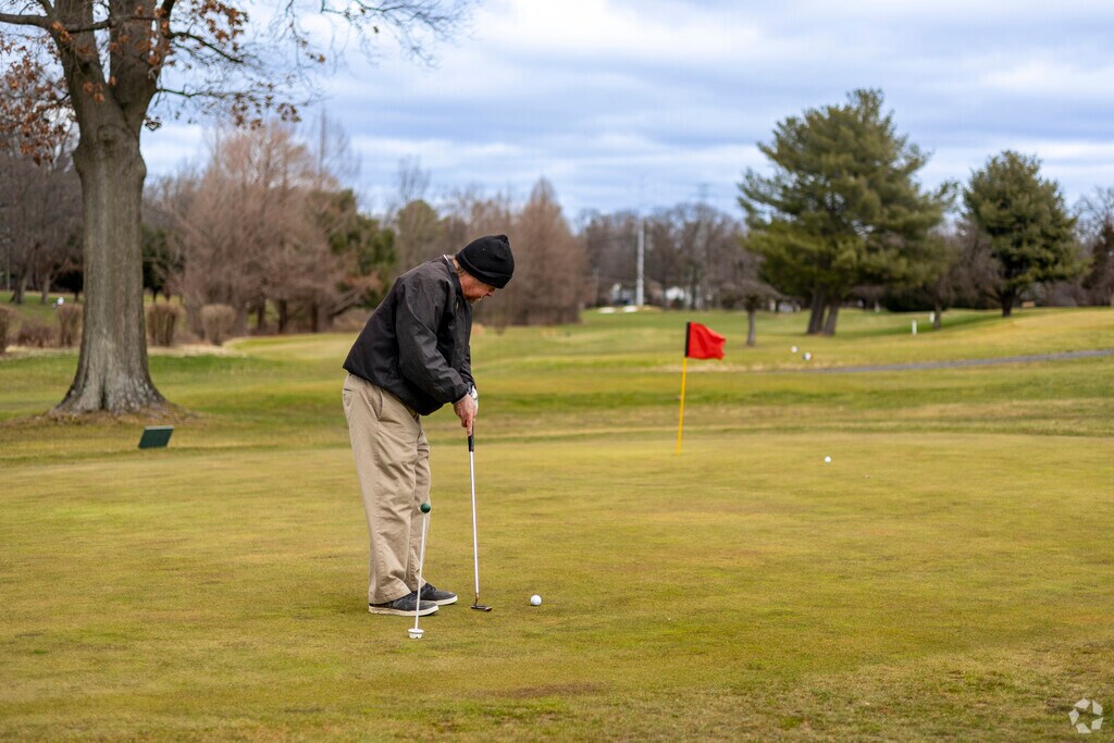 Practice your golf swing on the courses in Idylwood.