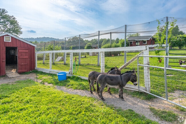 Tilly Foster Farm in Southeast hosts animal meet-and-greets.