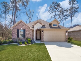 9811 Laurel Lake Dr, Conroe, TX 77384