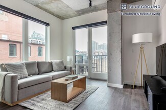 411 W Chicago Ave Unit FL4-ID1033, Chicago, IL 60654