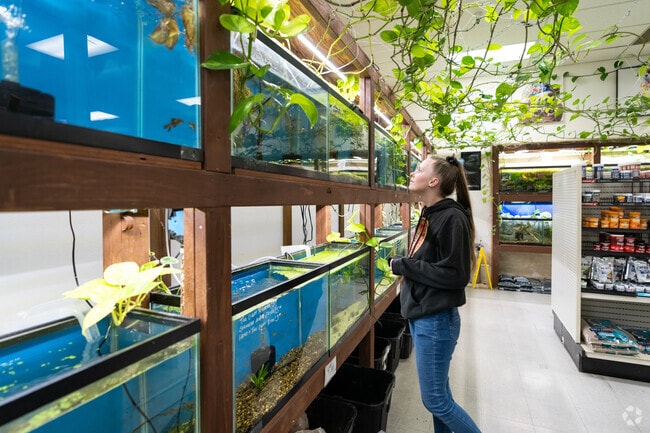 Pet Time in West Eugene is a pet store with everything from fish to birds to reptiles and more.