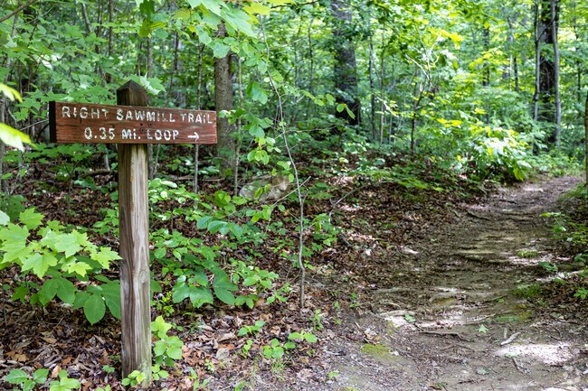 Take a hike to get a view of downtown Knoxville at House Mountain Natural Area in Mascot.