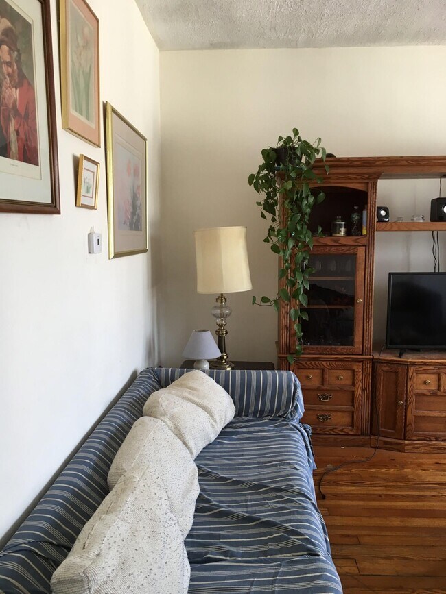 94 Hillside St unit 1, Roxbury Crossing, MA 02120 - photo 4