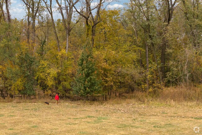 A man and his dog go for a stroll in Buder North Park.