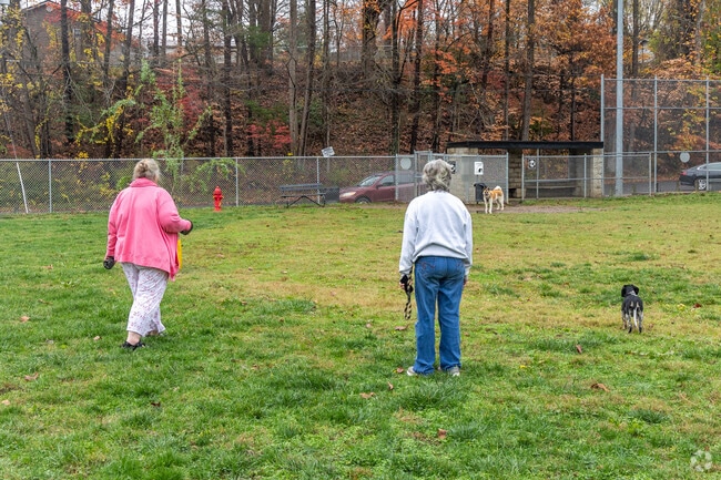 Central Bark is a large dog park that provides a playground, picnic areas, and a shower.