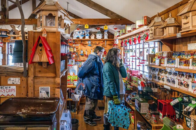 Bird Watchers’ General Store in Orleans attracts visitors with its unique birding supplies.