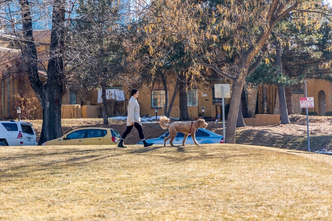 Speer is known for its dog-friendly vibe and access to Cherry Creek Trail.