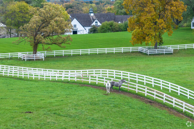 Horses and picket white fences are the norm in Old Mill Creek neighborhood.