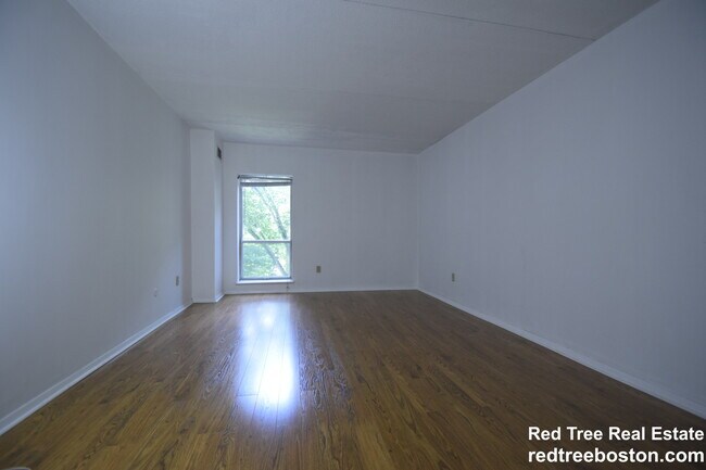 50-56 Broadlawn Park unit 3, Chestnut Hill, MA 02467 - photo 7