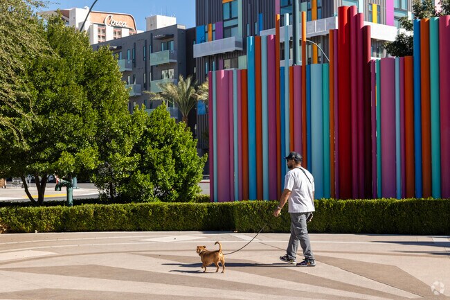 Symphony Park is pet-friendly and full of life at any hour of the day.