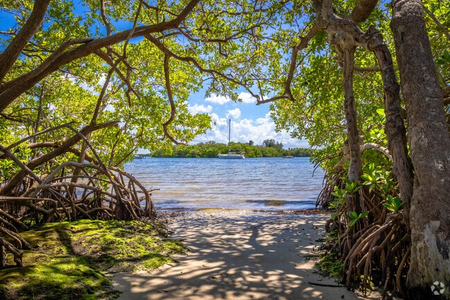 Mangrove-lined shores provide tranquil escapes for Harcourt residents.