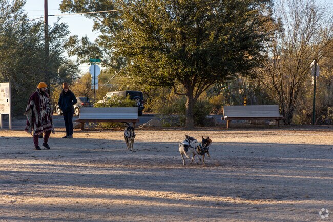 Neighbors meet up to let their dogs play at Mitchell Park.