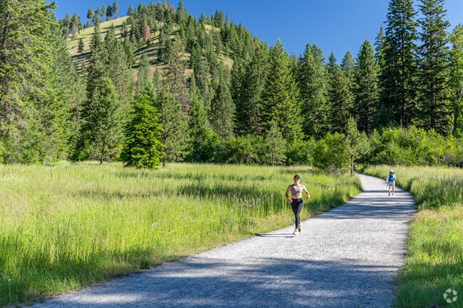 Rattlesnake Trail winds through alpine forest and offers breathtaking views.