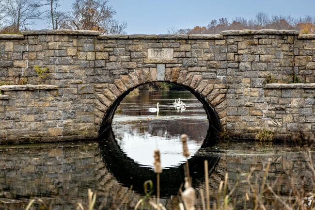Blink and you'll miss the family of swans travelling the millpond in Setauket.