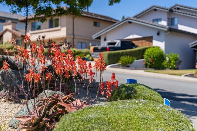 Prefumo residents add color and beauty to their landscaping with succulents and flowers.