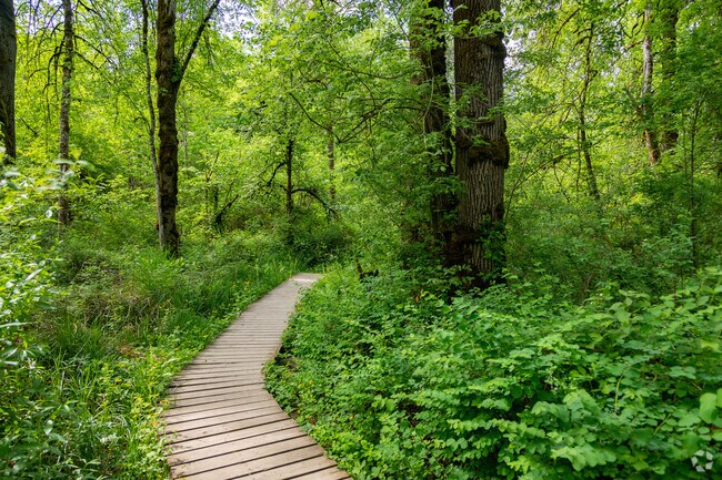 A board walk takes hikers through the Bryant Woods Nature Park.