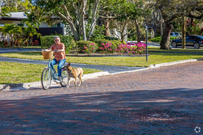 Pasadena on the Gulf has many historic brick roads to enjoy a bike ride with your pup.