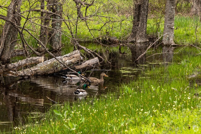 The Sunnyvale neighborhood is home to a number of wildlife friends.