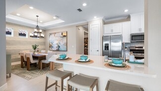 3885 Consolare Ct, Wesley Chapel, FL 33543