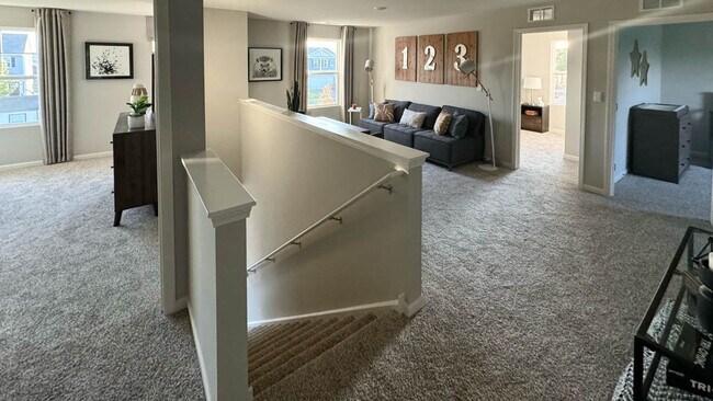 3800 Monte Carlo Way, Joliet, IL 60436 - photo 5