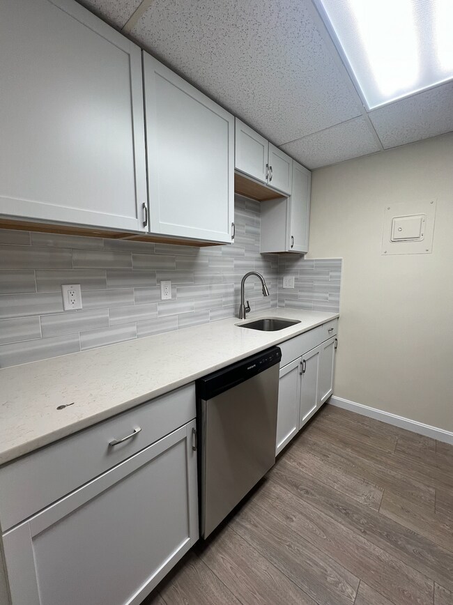 50-56 Broadlawn Park unit 1, Chestnut Hill, MA 02467 - photo 5