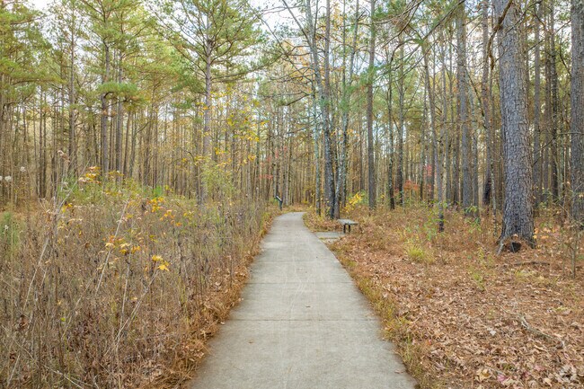 Much of Landmark is made up of dense Arkansas forest.