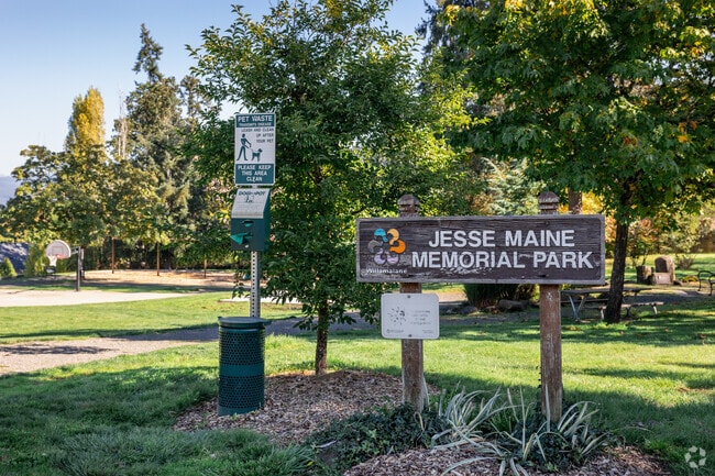 Locals relax under trees or shoot hoops at Jesse Maine Memorial Park in Thurston.