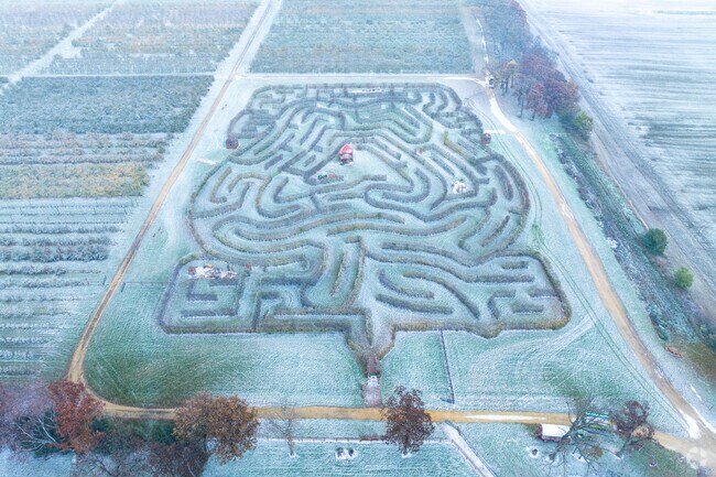 Royal Oak Farm in Alden has an incredible apple tree maze.