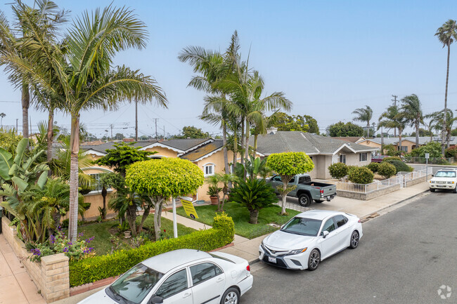 Palm trees are common throughout Redwood.