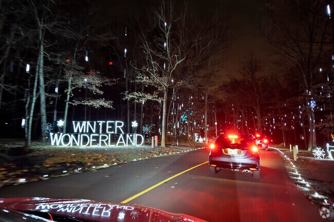 Residents enjoy making family memories at the annual Festival of Lights in Bull Run.