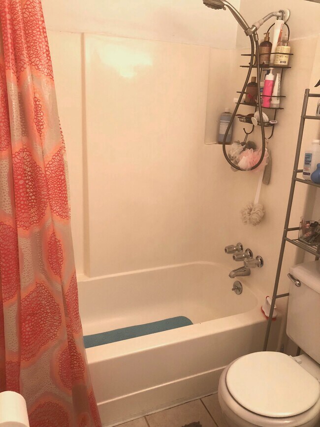 400 Green St unit 400 Green 45B, Blacksburg, VA 24060 - photo 3