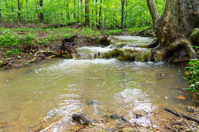 There is running water after heavy rains in the Paul Yost Recreation Area.