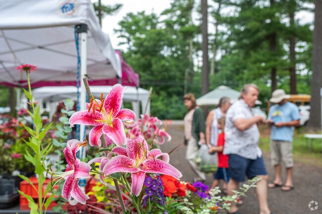 Spruce up your garden with flowers from Nash Nursery in Carver.