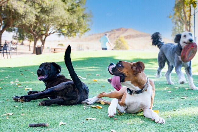 The Phoenix Dog Park within the Benicia Community Park is a destination in Benicia.