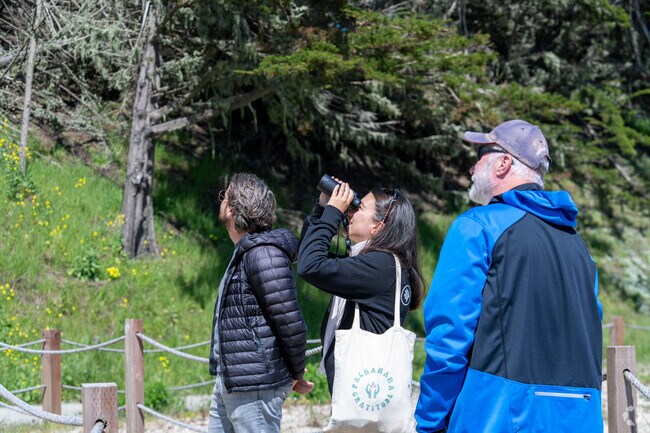 Birdwatchers in El Granada gather in awe, binoculars in hand, observing nature's wonders.
