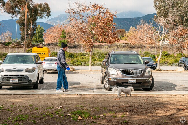 Heritage Park in Alta Loma is a favorite spot for locals to walk their dogs and enjoy the fresh air.