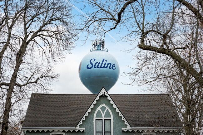 Saline's city water tower overlooks historic homes south of downtown on Ann Arbor Street.