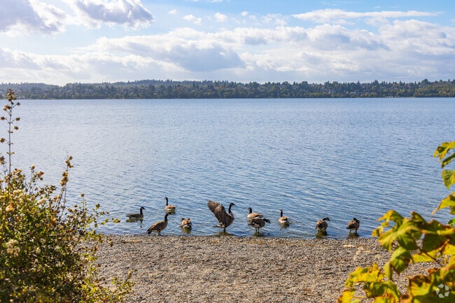 Calkin's Landing is in the East Seattle neighborhood of Mercer Island, WA.