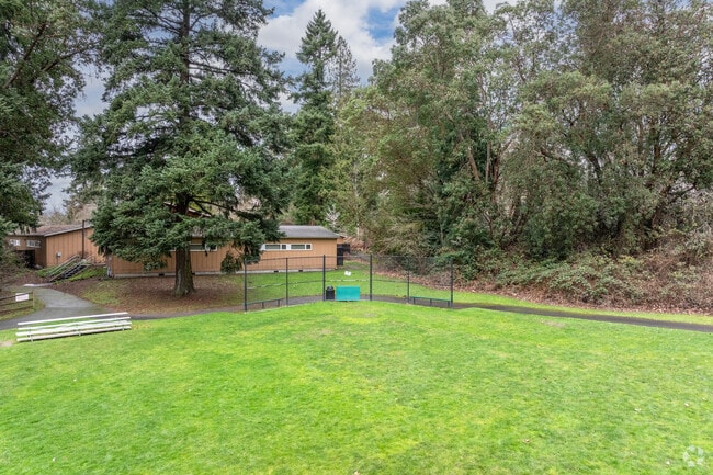 Northstar Middle School baseball field.