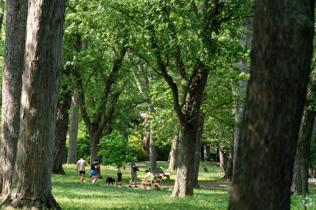 Ellicott Creek Bark Island is the perfect dog park with large trees, access to water and trails.